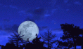 /album/moon-light/moonflip-gif/