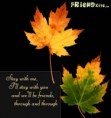 /album/friendship/friends-forever-card-1-jpg/