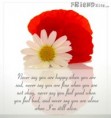 /album/friendship/true-friends-card-2-jpg/